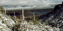 snow in the desert