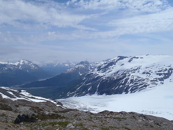 A beautiful view from the Harding Icefield Trail. 