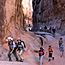 Fiery Furnace Video