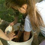 Junior Ranger Camps
