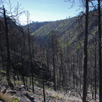 Frijoles Canyon above Upper Crossin