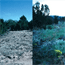 Ongoing ecological research