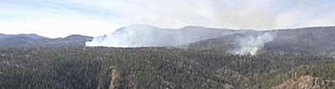 prescribed burn
