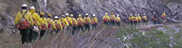 Big Bend's Diablos fire crew