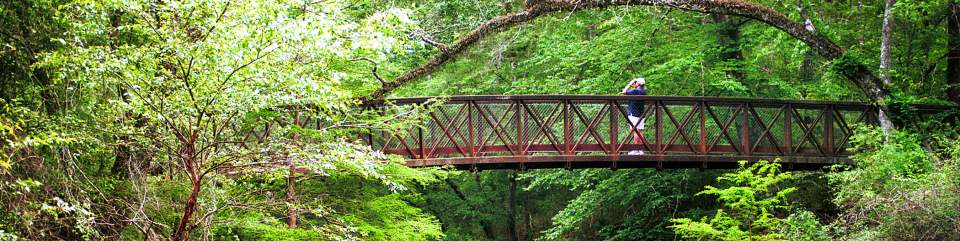 Birder on Village Creek Bridge in Turkey Creek Unit