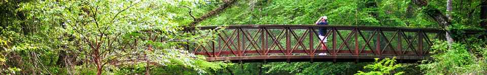 Birder on Village Creek Bridge in Turkey Creek Unit