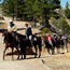 Canyon Trail Rides