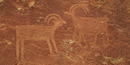 Petroglyphs Petroglyphs