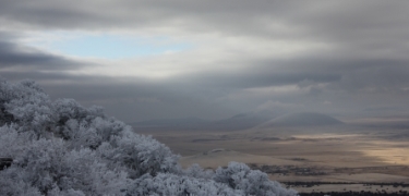 landscape 1