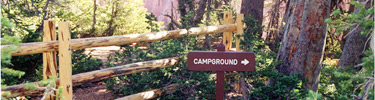 Cedar Breaks Campground Trail