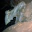There's a dragon in the cave!