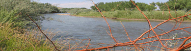 Animas River near Aztec Ruins