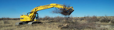 Bucket digging out tamarisk