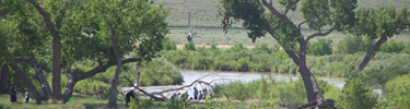 kids at the cottonwoods