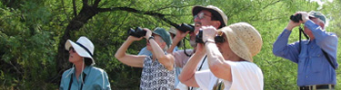 Big Bend is an excellent place for birding!