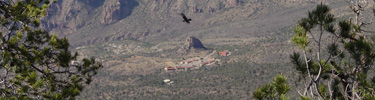 A raven's view of the Chisos Basin