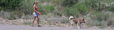 Pets can only go where cars go and they must be kept on a 6-foot or shorter leash.