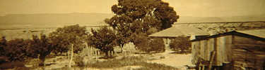 Ranch at the Grapevine Hills