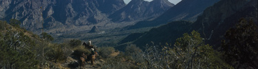 Horse riders descending the Laguna Meadow Trail towards the Basin, mid-1940s