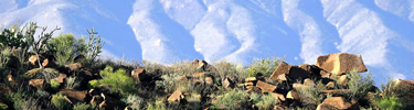 The view from Roy's Peak Vista