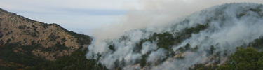Prescribed fire in the High Chisos Mountains, December 2005
