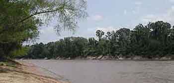 Neches River Scene