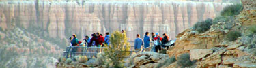 Early morning visitors at Bryce Point