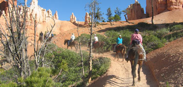 Trail Riders along the Sunrise to Peek-a-boo Horse Trail