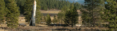 Early snowfall trapped the Donner & Reed wagon train at this site in late October of 1846.