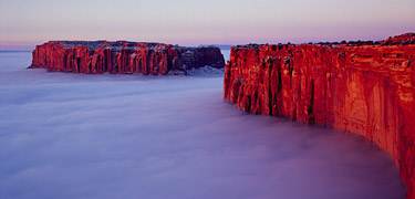 Fog at Grand View Point (photo copyright Steve Mulligan)