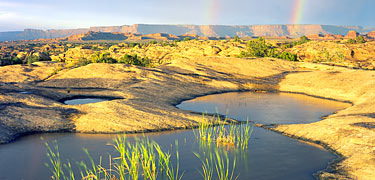 Sunset at Pothole Point (Needles District)