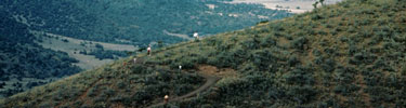 color photograph of view from rim trail of volcano with hikers