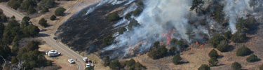Burned hillside during November 2006 prescribed fire.