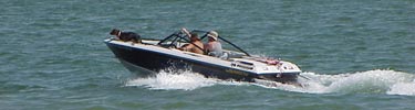 A dog at the bow of a motorboat on the Lake of the Arbuckles