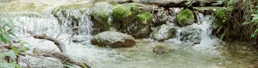 The headwaters of Travertine Creek