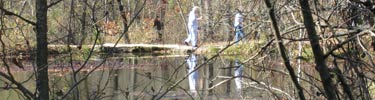Walkers reflected in the water of the turtle pond