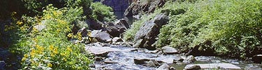 Curecanti Creek, NPS Photo by Lisa Lynch