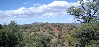 Views from atop cinder cones are well worth the hike!