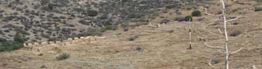 View of fort ruins from Overlook Trail