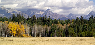 Picture of Pig Prairie in the North Fork