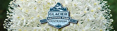 centennial logo
