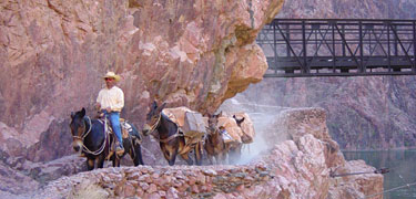 PACKING SUPPLIES TO PHANTOM RANCH