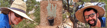 2 members of the native plant restoration team