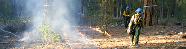 Prescribed burning