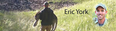 Remembering Eric York 1970-2007
