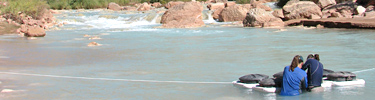 translocation fish cans technicians LCR