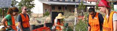 Sixty students plus SCA crew leaders and support staff donated over 3500 hours of service to the park in two one-week sessions.