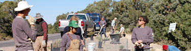Volunteers restore plants on Hermit Road