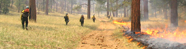 Prescribed Fires Successfully Completed.