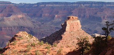 Morning light on Cedar Ridge, S. Kaibab Trail Morning light on Cedar Ridge, S. Kaibab Trail